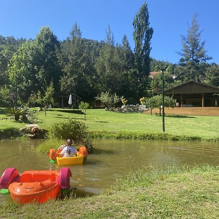 Quinta Da Vinha Do Souto Villa Arouca Luaran gambar