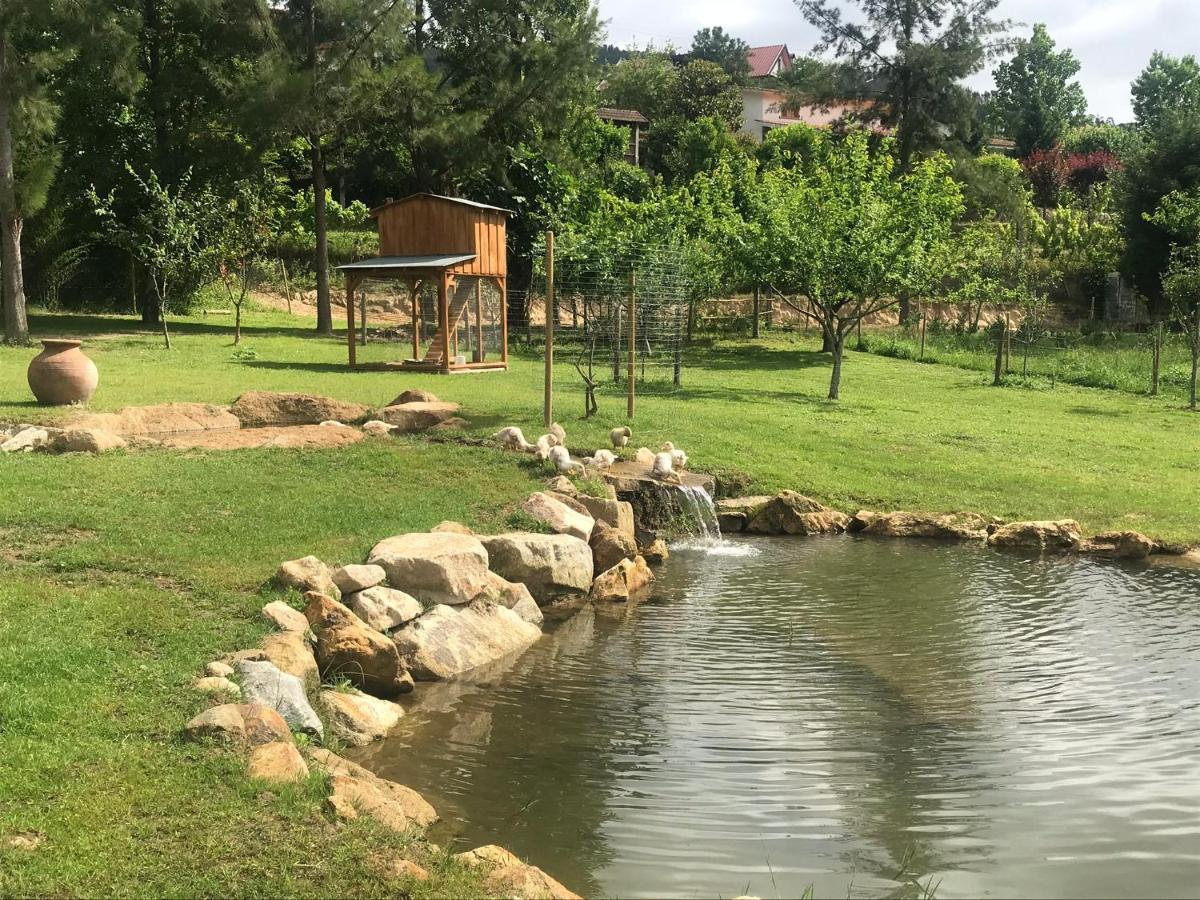 Quinta Da Vinha Do Souto Villa Arouca Luaran gambar