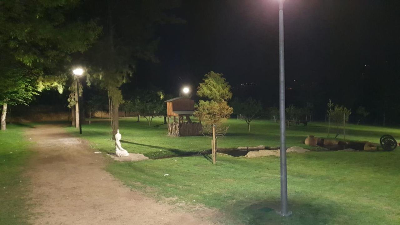 Quinta Da Vinha Do Souto Villa Arouca Luaran gambar