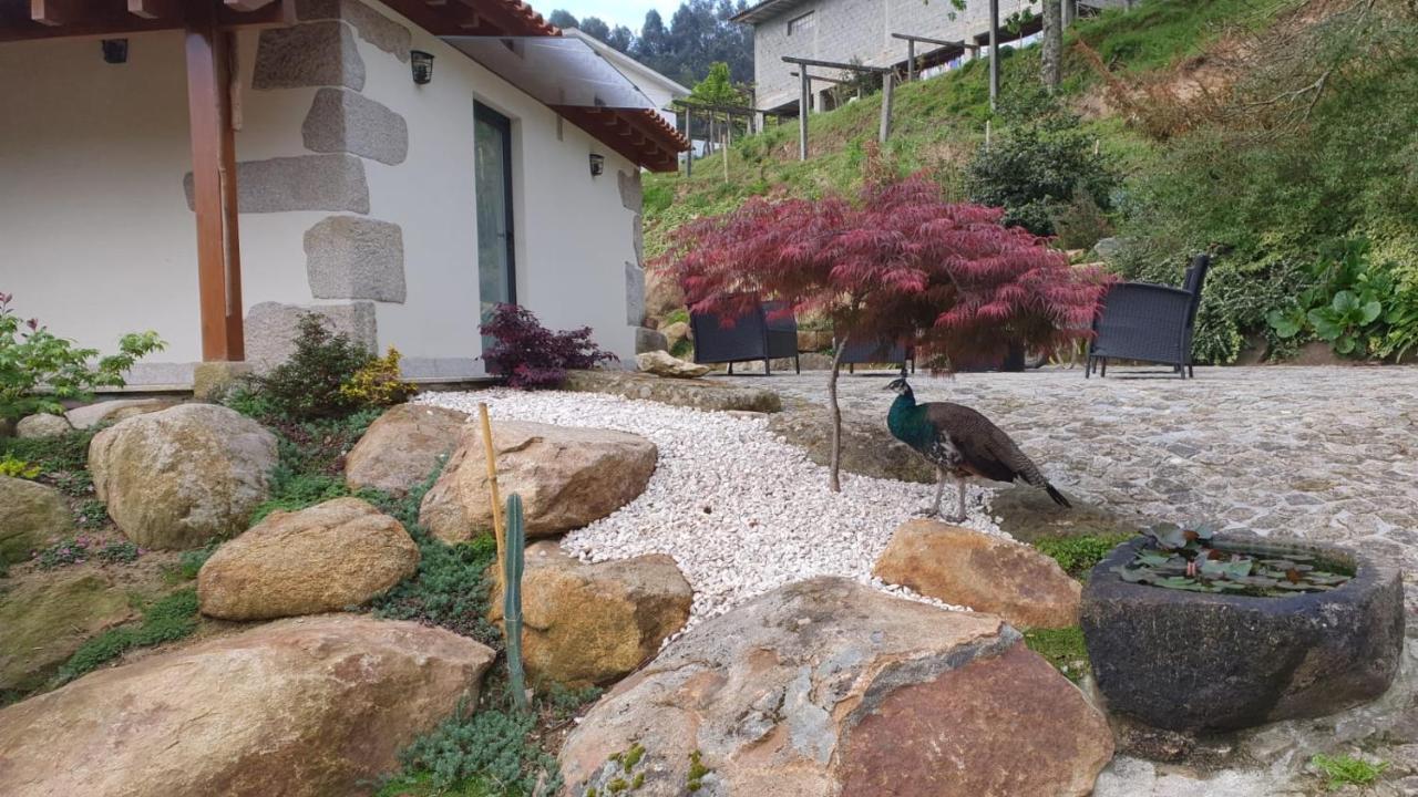 Quinta Da Vinha Do Souto Villa Arouca Luaran gambar