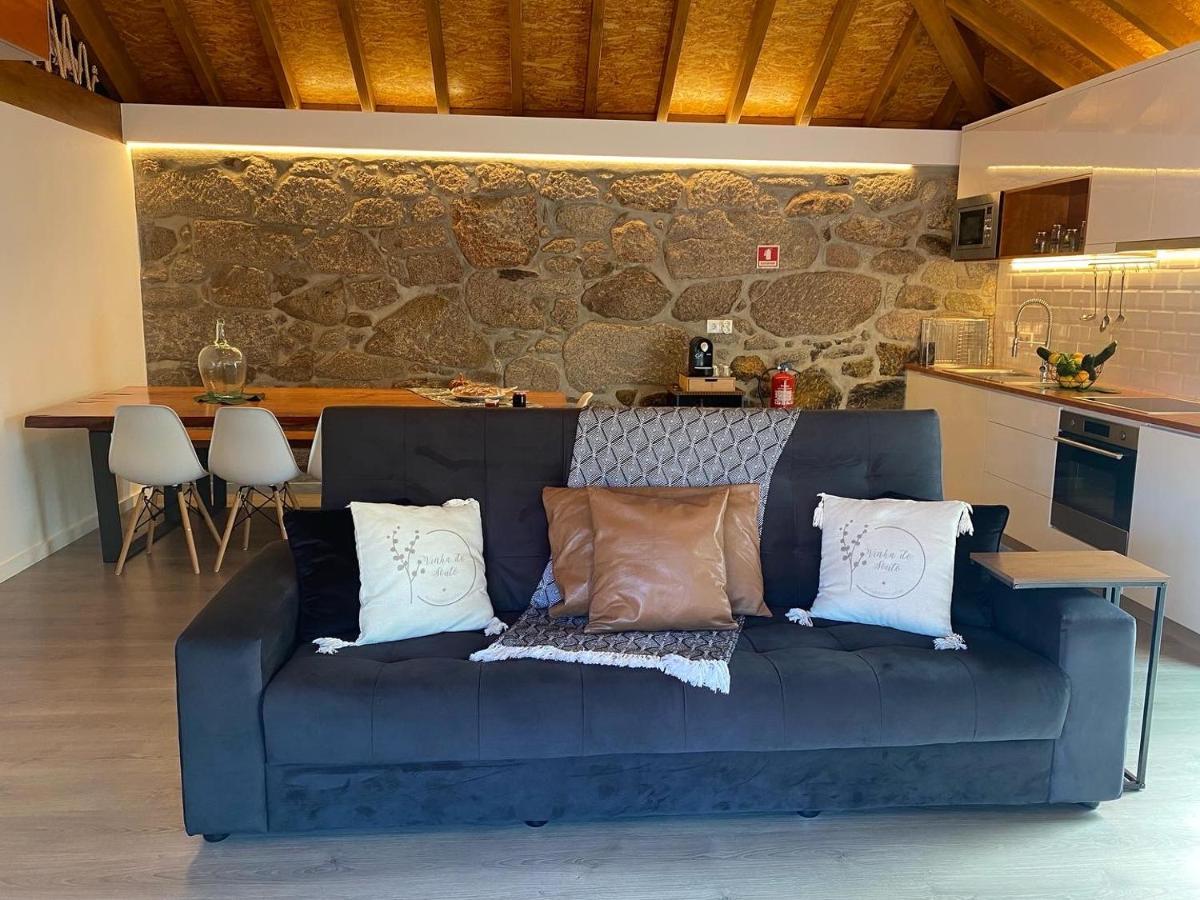 Quinta Da Vinha Do Souto Villa Arouca Luaran gambar