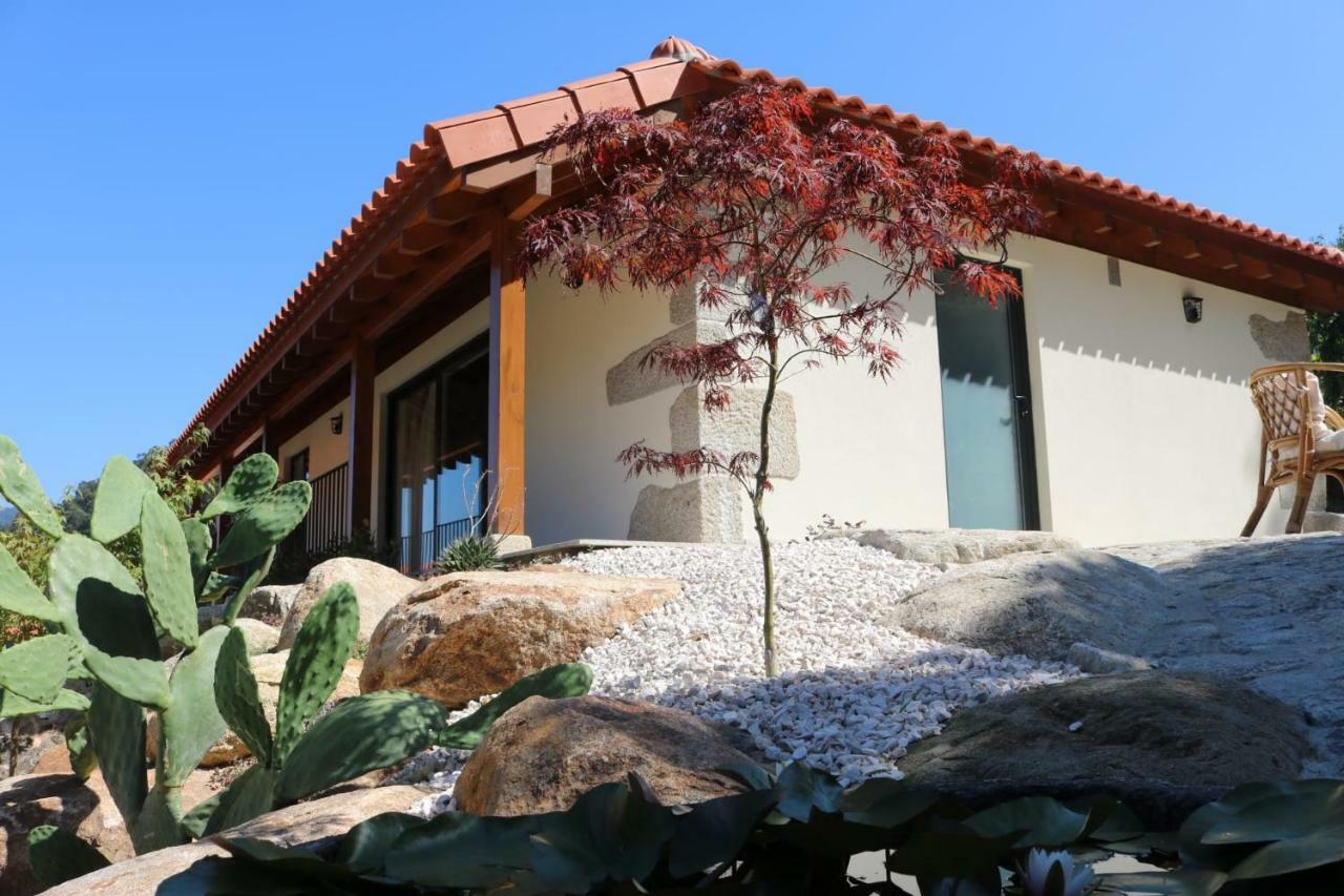 Quinta Da Vinha Do Souto Villa Arouca Luaran gambar