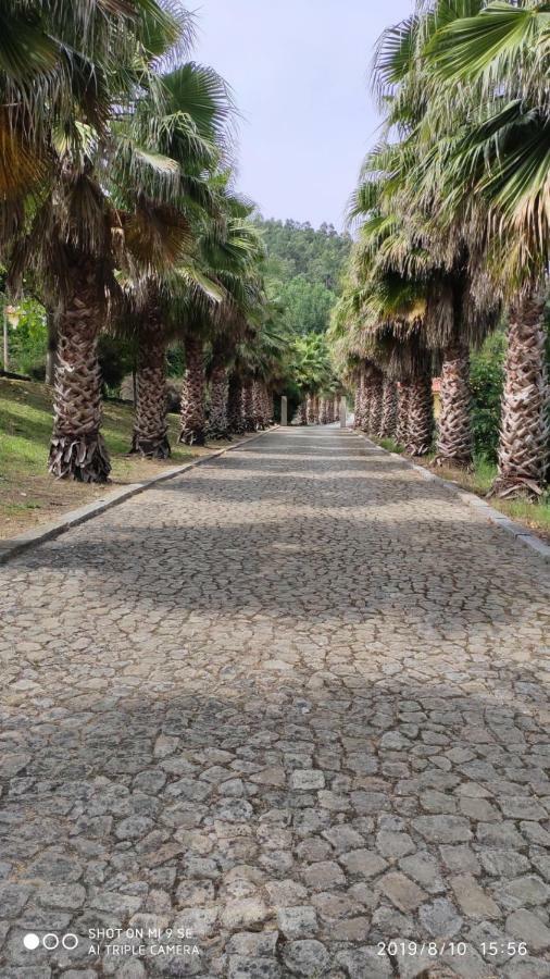 Quinta Da Vinha Do Souto Villa Arouca Luaran gambar