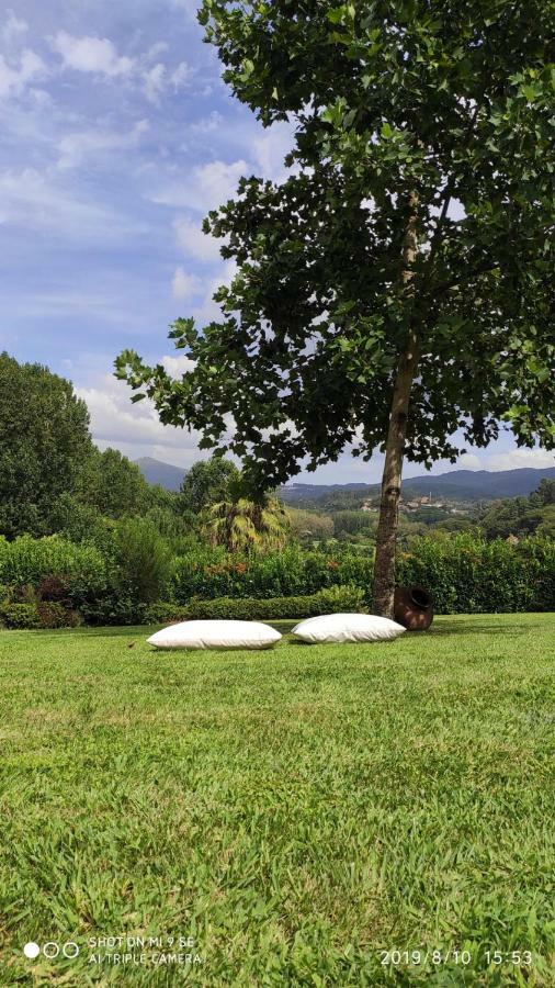 Quinta Da Vinha Do Souto Villa Arouca Luaran gambar
